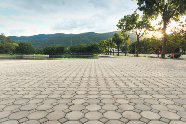 Best Professional Driveway Pavers  in Pleak, TX